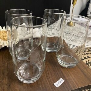 Princess house set of 4 etched cut flowers drinking glasses